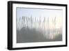 Morning Whisper I-Sharon Chandler-Framed Photographic Print