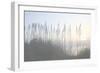 Morning Whisper I-Sharon Chandler-Framed Photographic Print