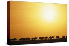 Morning Wildebeest Migration-Paul Souders-Stretched Canvas
