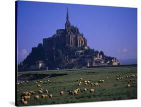 Morning with Flock of Sheep, Normandy-Walter Bibikow-Stretched Canvas