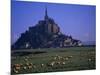 Morning with Flock of Sheep, Normandy-Walter Bibikow-Mounted Photographic Print