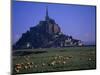 Morning with Flock of Sheep, Normandy-Walter Bibikow-Mounted Photographic Print