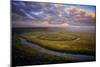 Morning Within Hayden Valley, Yellowstone National Park-null-Mounted Photographic Print