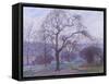 Mornington Crescent-Spencer Gore-Framed Stretched Canvas