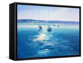 Mornington Morning-Craig Trewin Penny-Framed Stretched Canvas