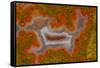 Moroccan Agate-Darrell Gulin-Framed Stretched Canvas