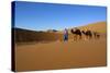 Moroccan Camel Driver-Stuart Black-Stretched Canvas