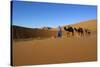 Moroccan Camel Driver-Stuart Black-Stretched Canvas