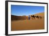Moroccan Camel Driver-Stuart Black-Framed Photographic Print