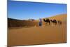 Moroccan Camel Driver-Stuart Black-Mounted Photographic Print