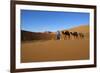 Moroccan Camel Driver-Stuart Black-Framed Photographic Print