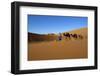 Moroccan Camel Driver-Stuart Black-Framed Photographic Print