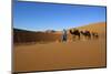 Moroccan Camel Driver-Stuart Black-Mounted Photographic Print