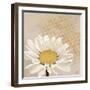 Moroccan Daisy 1-Walela R.-Framed Art Print