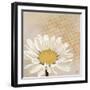 Moroccan Daisy 1-Walela R.-Framed Art Print