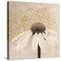 Moroccan Daisy 2-Walela R.-Stretched Canvas