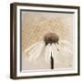 Moroccan Daisy 2-Walela R.-Framed Art Print