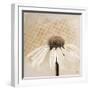 Moroccan Daisy 2-Walela R.-Framed Art Print