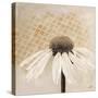 Moroccan Daisy 2-Walela R.-Stretched Canvas