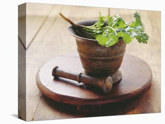 Moroccan Mortar with Coriander-Eising Studio - Food Photo and Video-Stretched Canvas