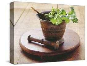 Moroccan Mortar with Coriander-Eising Studio - Food Photo and Video-Stretched Canvas