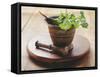 Moroccan Mortar with Coriander-Eising Studio - Food Photo and Video-Framed Stretched Canvas