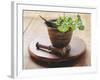 Moroccan Mortar with Coriander-Eising Studio - Food Photo and Video-Framed Photographic Print