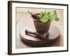 Moroccan Mortar with Coriander-Eising Studio - Food Photo and Video-Framed Photographic Print