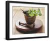 Moroccan Mortar with Coriander-Eising Studio - Food Photo and Video-Framed Photographic Print