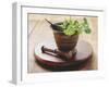 Moroccan Mortar with Coriander-Eising Studio - Food Photo and Video-Framed Photographic Print
