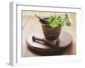 Moroccan Mortar with Coriander-Eising Studio - Food Photo and Video-Framed Photographic Print