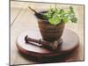 Moroccan Mortar with Coriander-Eising Studio - Food Photo and Video-Mounted Photographic Print