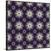 Moroccan Star Flower (Purple)-Susan Clickner-Stretched Canvas