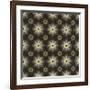 Moroccan Star Flower-Susan Clickner-Framed Giclee Print