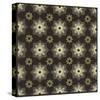 Moroccan Star Flower-Susan Clickner-Stretched Canvas