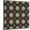 Moroccan Star Flower-Susan Clickner-Stretched Canvas