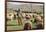 Morocco,. A man tends his flock of sheep in the High Atlas mountains.-Brenda Tharp-Framed Photographic Print