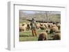 Morocco,. A man tends his flock of sheep in the High Atlas mountains.-Brenda Tharp-Framed Photographic Print