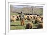 Morocco,. A man tends his flock of sheep in the High Atlas mountains.-Brenda Tharp-Framed Photographic Print