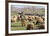 Morocco,. A man tends his flock of sheep in the High Atlas mountains.-Brenda Tharp-Framed Photographic Print