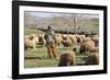 Morocco,. A man tends his flock of sheep in the High Atlas mountains.-Brenda Tharp-Framed Photographic Print