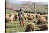 Morocco,. A man tends his flock of sheep in the High Atlas mountains.-Brenda Tharp-Stretched Canvas