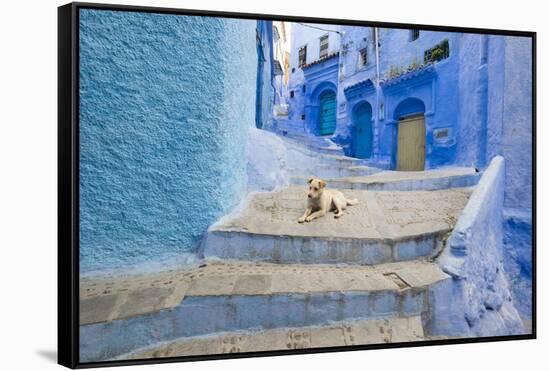 Morocco. Blue Narrow Streets and Neighborhooda of Chaouen-Emily Wilson-Framed Stretched Canvas