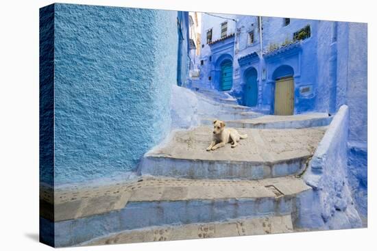 Morocco. Blue Narrow Streets and Neighborhooda of Chaouen-Emily Wilson-Stretched Canvas