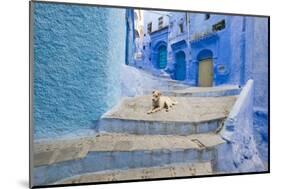 Morocco. Blue Narrow Streets and Neighborhooda of Chaouen-Emily Wilson-Mounted Photographic Print