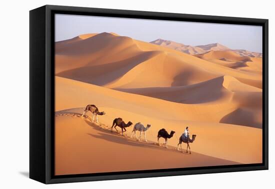 Morocco Camel Train, Berber with Dromedary Camels-null-Framed Stretched Canvas