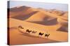 Morocco Camel Train, Berber with Dromedary Camels-null-Stretched Canvas