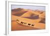 Morocco Camel Train, Berber with Dromedary Camels-null-Framed Photographic Print