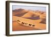 Morocco Camel Train, Berber with Dromedary Camels-null-Framed Photographic Print