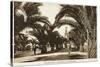 Morocco, Casablanca - Boulevard of the 4th Zouaves-null-Stretched Canvas